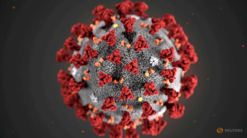 Virus corona (Reuters)