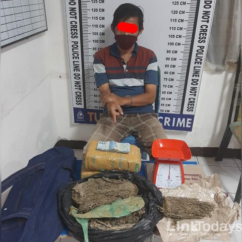 Parlindungan Nainggolan bersama barang bukti Narkotika Jenis Ganja, saat diamankan di Kantor Sat Narkoba Polres Siantar. (Dok: Polres)