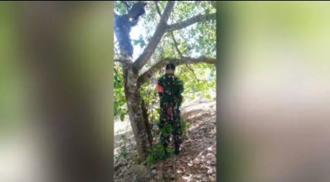 Anggota TNI-AD ditemukan tewas tergantung di pohon jambu mete di Desa Rahantari, Kecamatan Kabaena Barat, Kabupaten Bombana, Sulawesi Tenggara, pada Rabu (19/8/2020). (ANTARA/HO)