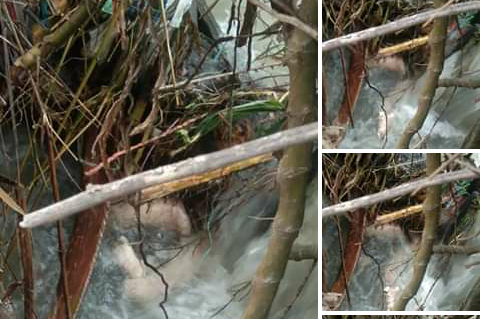 Kondisi Jasad Sauqi saat ditemukan warga di Sungai Naga Pematang Kerasaan