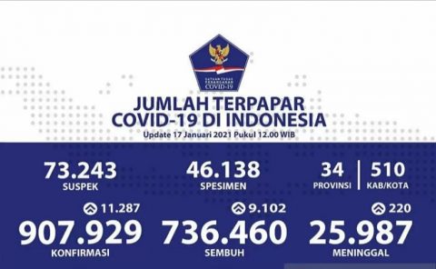 Jumlah terpapar Covid-19 di Indonesia. Foto:Antara