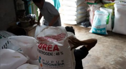 Herman Widiono mengatakan untuk pengiriman pupuk bersubsidi dari distributor ke kios, hingga kelompok tani masih sesuai prosedur.