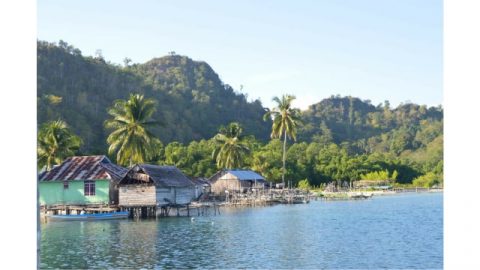 Ilustrasi pulau Foto: Bagas Putra Riyadhana