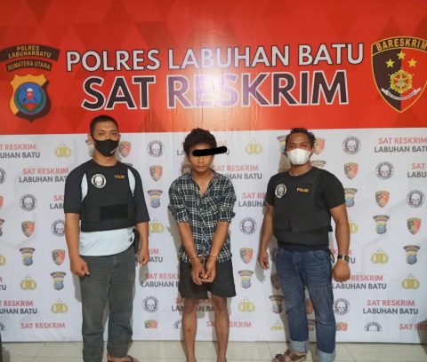 Pelaku Curat diamankan. Foto: Dok. Polres Labuhanbatu.