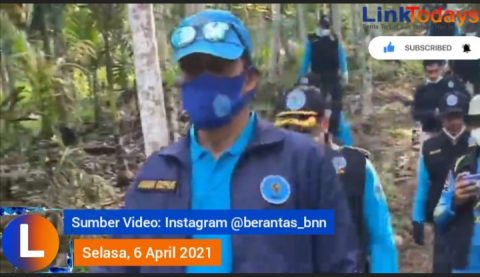 Deputi Pemberantasa BNN RI, Drs Arman Depari. Foto: Screenshot Video. Linktodays.com