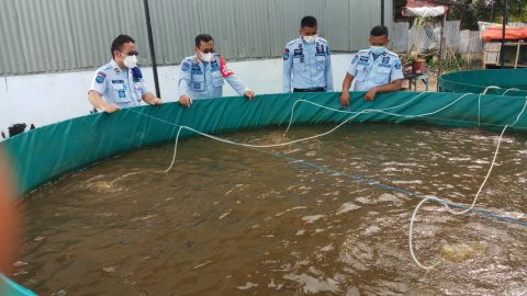 Kalapas saat meninjau langsung Budi Daya Ikan Lele dan Ikan Nilai Pada Kolam Terpal Bundar. Foto: Dok. Humas Lapas Kleas IIA Pematangsiantar.