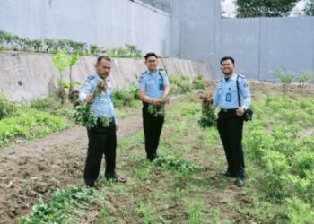 Pelaksanaan Kegiantan Pembinaan Kemandirian Bidang Pertanian di Lapas Narkotika Kelas IIA Pematang Siantar. Foto: Istimewa.